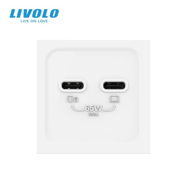Modul / USB-2C 65W dimenzija 45mm*45mm 