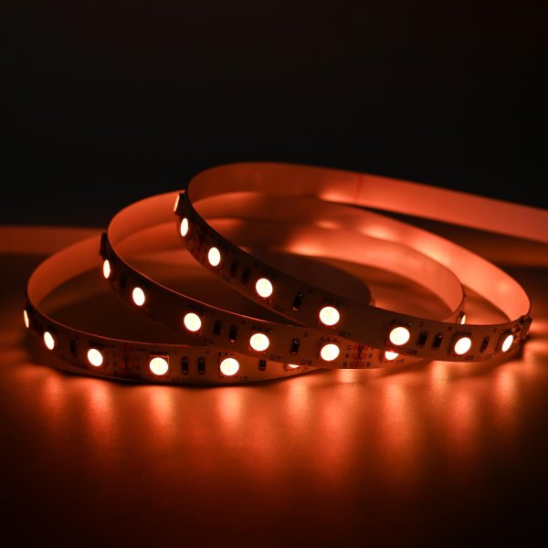 SMD LED traka  60D/m