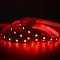 SMD LED traka  60D/m