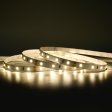 SMD LED traka 60D/m 