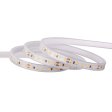 SMD LED traka 120D/m