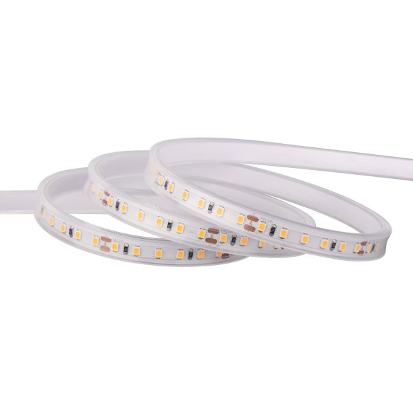 SMD LED traka 120D/m